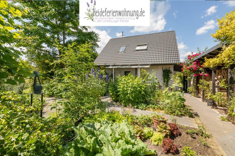 Heideferienwohnung Walsrode Buitenkant foto